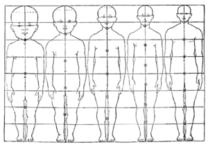 Chart that shows the changes in body proportion over time